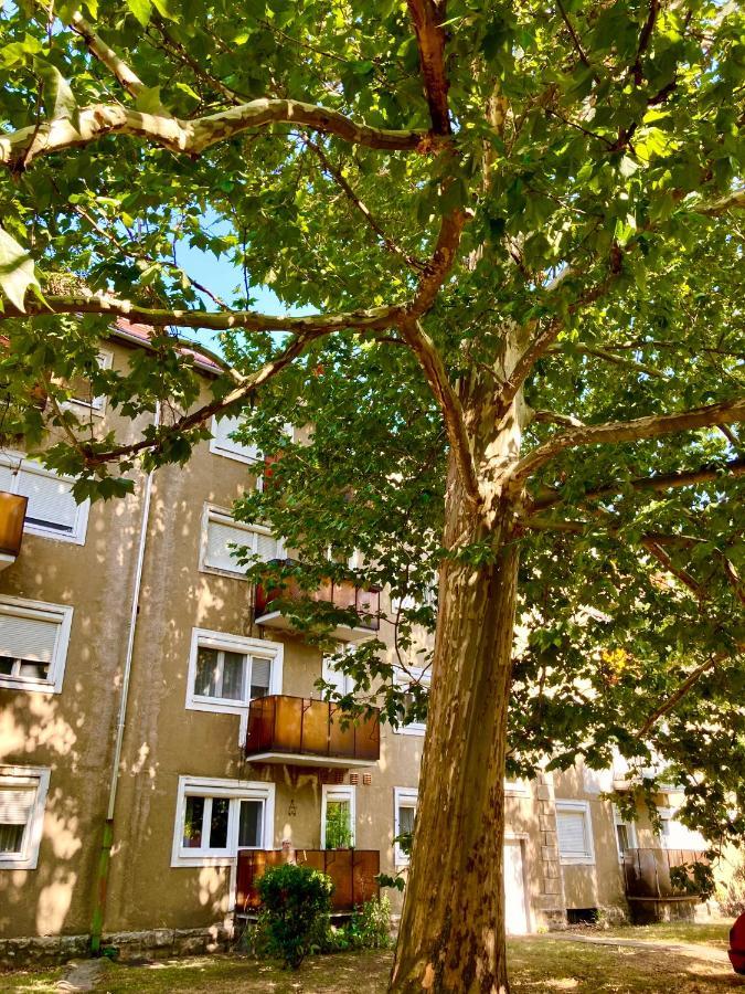 Esther Apartman 타타반야 외부 사진